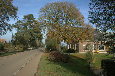 foto van Gelderswoude