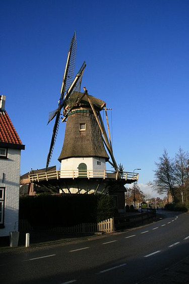 foto van Maasdam