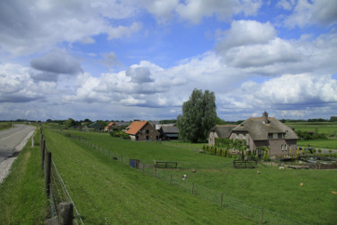 foto van Den Oord